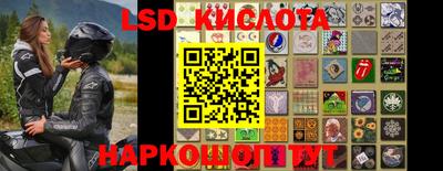 крисы Лесосибирск