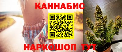 крисы Лесосибирск