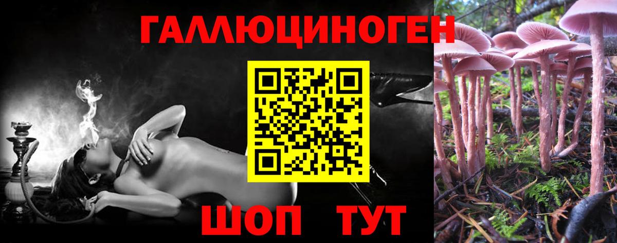 Чебаркуль  Галлюциногенные грибы мицелий  Вход с VPN  Галлюциногенные грибы Psilocybine cubensis 